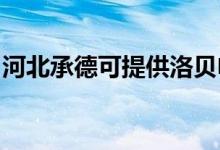 河北承德可提供洛貝電飯煲維修服務地址在哪