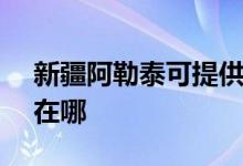 新疆阿勒泰可提供SKG電餅鐺維修服務(wù)地址在哪