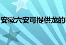 安徽六安可提供龍的電餅鐺維修服務(wù)地址在哪