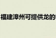 福建漳州可提供龍的電餅鐺維修服務(wù)地址在哪