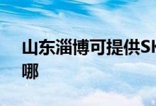 山東淄博可提供SKG電餅鐺維修服務(wù)地址在哪