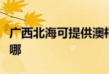 廣西北海可提供澳柯瑪電餅鐺維修服務(wù)地址在哪