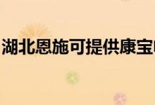湖北恩施可提供康寶電餅鐺維修服務(wù)地址在哪
