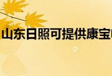 山東日照可提供康寶電餅鐺維修服務(wù)地址在哪