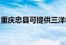重慶忠縣可提供三洋電餅鐺維修服務(wù)地址在哪