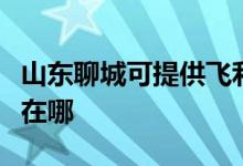山東聊城可提供飛利浦電壓力鍋維修服務(wù)地址在哪