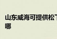 山東威?？商峁┧上码妷毫﹀伨S修服務(wù)地址在哪