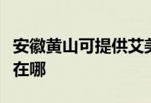 安徽黃山可提供艾美特電壓力鍋維修服務(wù)地址在哪