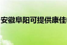 安徽阜陽可提供康佳電火鍋維修服務(wù)地址在哪