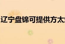 遼寧盤(pán)錦可提供方太燃?xì)庠罹S修服務(wù)地址在哪