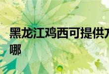 黑龍江雞西可提供方太燃?xì)庠罹S修服務(wù)地址在哪