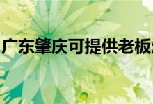 廣東肇慶可提供老板燃氣灶維修服務(wù)地址在哪