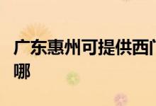 廣東惠州可提供西門子燃氣灶維修服務地址在哪