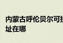 內(nèi)蒙古呼倫貝爾可提供海爾燃?xì)庠罹S修服務(wù)地址在哪