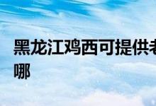 黑龍江雞西可提供老板燃氣灶維修服務(wù)地址在哪