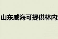 山東威海可提供林內燃氣灶維修服務地址在哪
