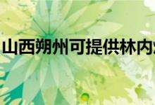 山西朔州可提供林內燃氣灶維修服務地址在哪