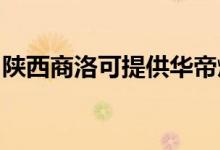 陜西商洛可提供華帝燃氣灶維修服務(wù)地址在哪