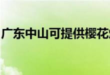 廣東中山可提供櫻花燃?xì)庠罹S修服務(wù)地址在哪
