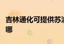 吉林通化可提供蘇泊爾燃氣灶維修服務(wù)地址在哪