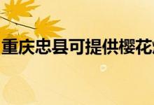 重慶忠縣可提供櫻花燃?xì)庠罹S修服務(wù)地址在哪