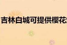 吉林白城可提供櫻花燃?xì)庠罹S修服務(wù)地址在哪