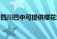 四川巴中可提供櫻花燃?xì)庠罹S修服務(wù)地址在哪