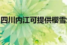 四川內(nèi)江可提供櫻雪燃?xì)庠罹S修服務(wù)地址在哪