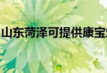 山東菏澤可提供康寶燃氣灶維修服務(wù)地址在哪