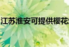 江蘇淮安可提供櫻花燃?xì)庠罹S修服務(wù)地址在哪