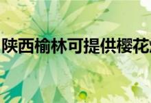陜西榆林可提供櫻花燃?xì)庠罹S修服務(wù)地址在哪