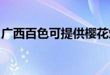 廣西百色可提供櫻花燃?xì)庠罹S修服務(wù)地址在哪