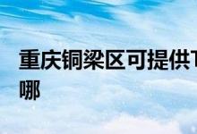 重慶銅梁區(qū)可提供TCL燃?xì)庠罹S修服務(wù)地址在哪