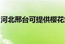 河北邢臺(tái)可提供櫻花燃?xì)庠罹S修服務(wù)地址在哪