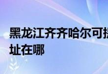 黑龍江齊齊哈爾可提供康寶燃氣灶維修服務(wù)地址在哪