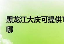 黑龍江大慶可提供TCL燃?xì)庠罹S修服務(wù)地址在哪