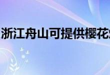 浙江舟山可提供櫻花燃?xì)庠罹S修服務(wù)地址在哪
