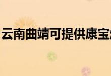 云南曲靖可提供康寶燃氣灶維修服務(wù)地址在哪