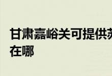 甘肅嘉峪關(guān)可提供蘇泊爾燃氣灶維修服務(wù)地址在哪