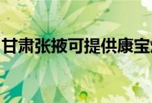 甘肅張掖可提供康寶燃氣灶維修服務(wù)地址在哪