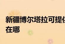 新疆博爾塔拉可提供康寶燃氣灶維修服務(wù)地址在哪