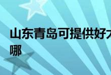 山東青島可提供好太太燃?xì)庠罹S修服務(wù)地址在哪