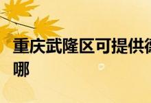 重慶武隆區(qū)可提供德意燃?xì)庠罹S修服務(wù)地址在哪