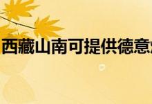 西藏山南可提供德意燃?xì)庠罹S修服務(wù)地址在哪
