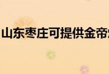 山東棗莊可提供金帝燃?xì)庠罹S修服務(wù)地址在哪