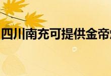 四川南充可提供金帝燃?xì)庠罹S修服務(wù)地址在哪