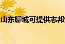 山東聊城可提供志邦燃?xì)庠罹S修服務(wù)地址在哪