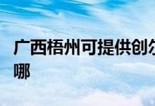 廣西梧州可提供創(chuàng)爾特燃?xì)庠罹S修服務(wù)地址在哪