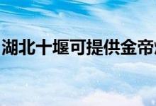 湖北十堰可提供金帝燃?xì)庠罹S修服務(wù)地址在哪