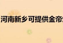 河南新鄉(xiāng)可提供金帝燃?xì)庠罹S修服務(wù)地址在哪